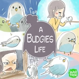 A Budgie's Life
